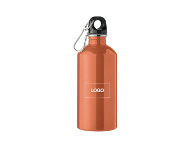 Bouteille simple paroi en acier inoxydable 500ml personnalisée