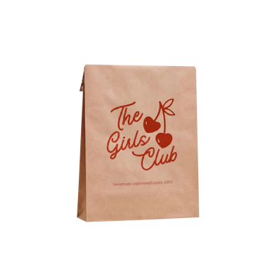 Bolsa de envío de papel personalizada