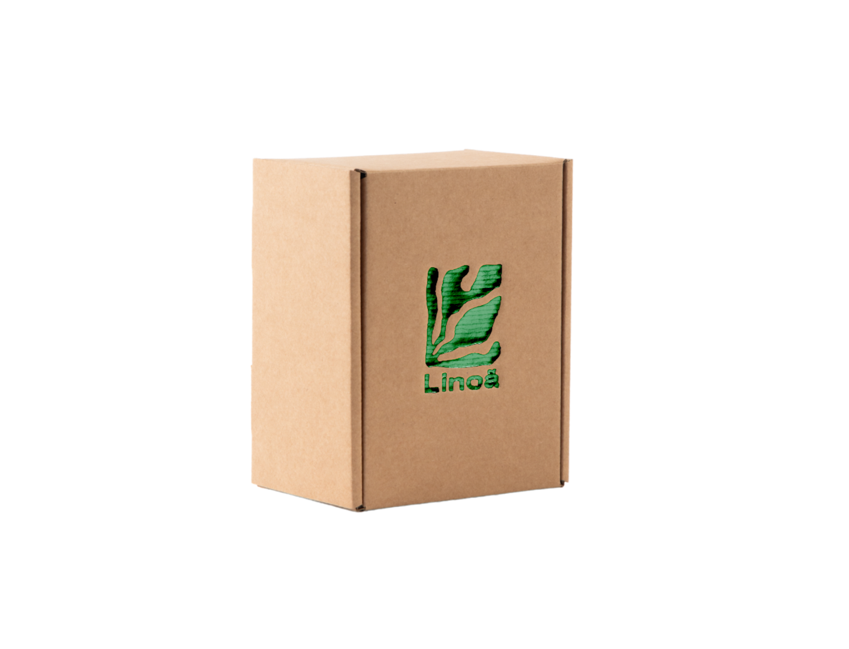 Individuelle Versandschachtel mit Heißfolienprägung 1