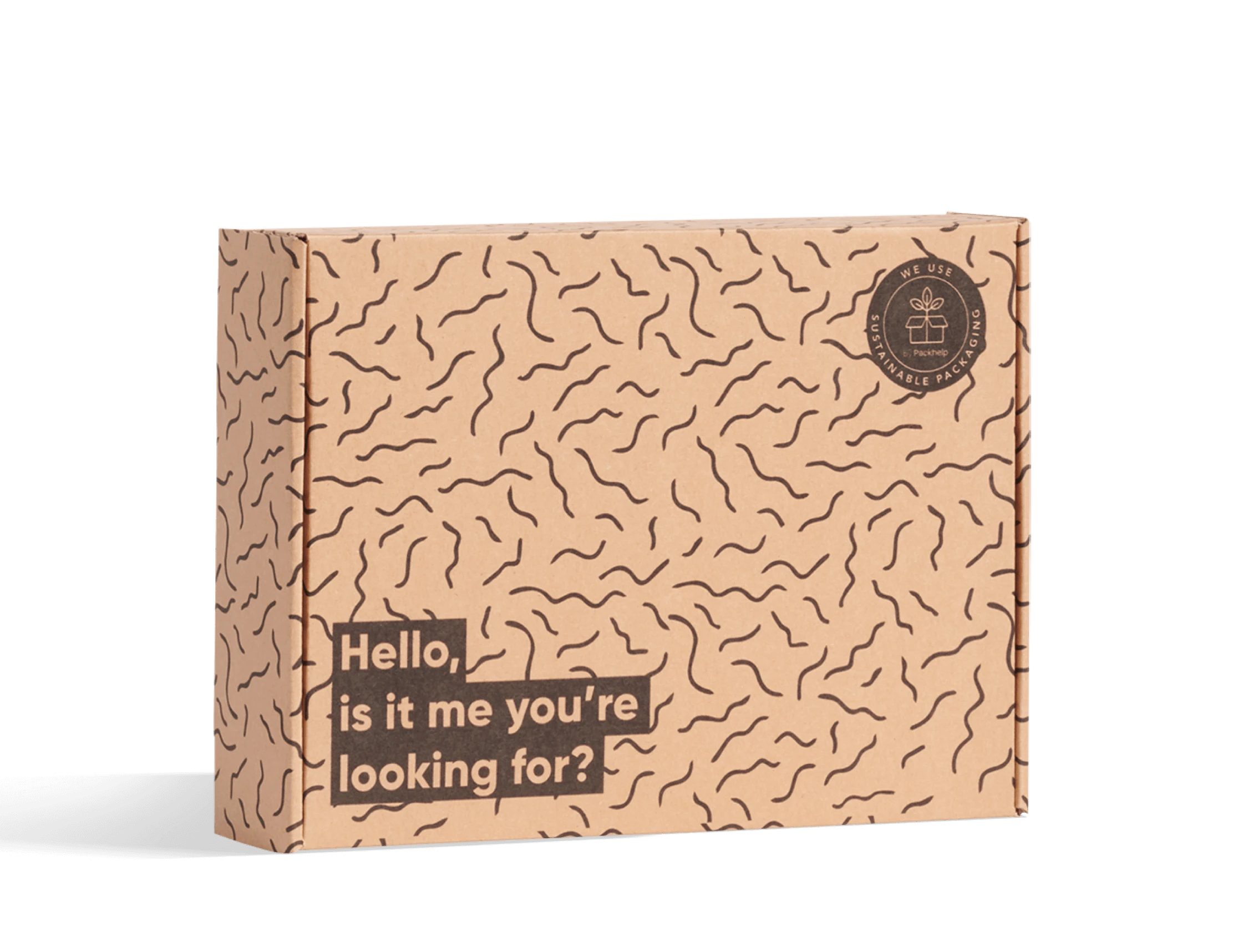 Pre-Printed Economic Mailer Box