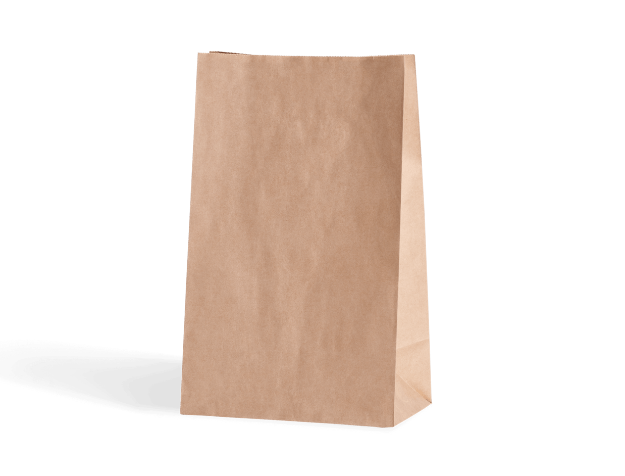 Eco Kraft Paper Bag 3