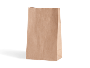 Bolsa de papel kraft ecológico