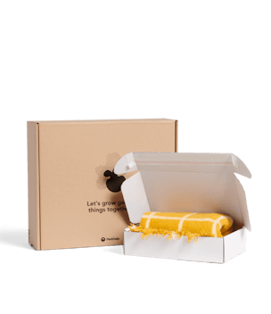 Plain Delivery Boxes With Adhesive Strips