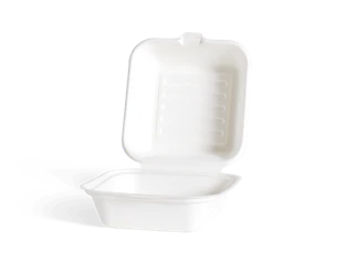 Biodegradable Burger Box