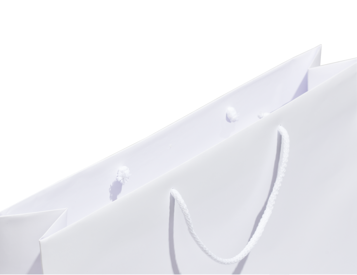 Bolsa de papel rígido 8