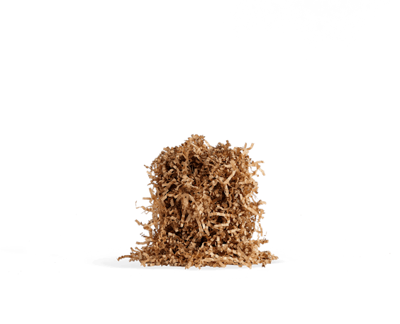 Virutas de papel