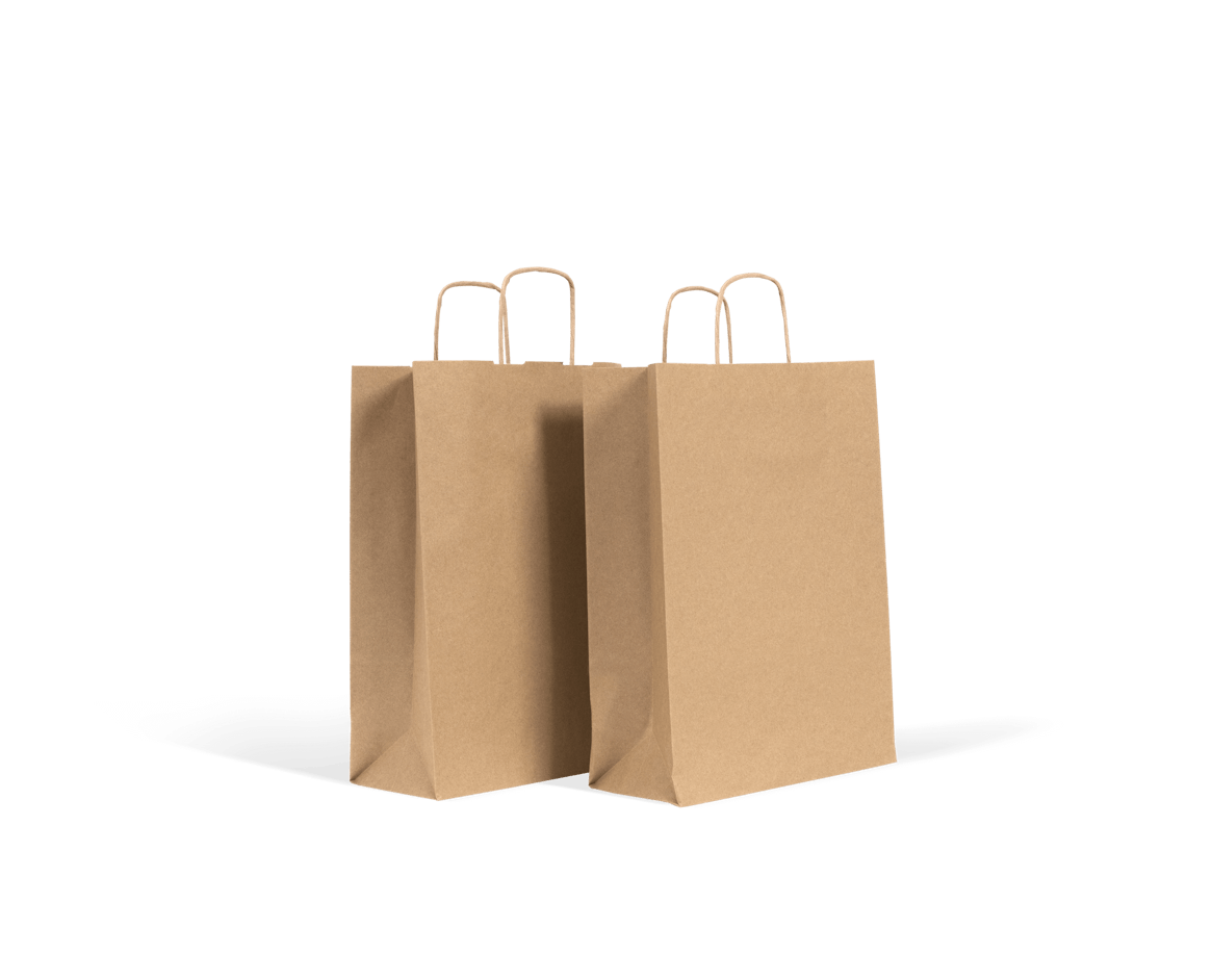 Paper Bag 1