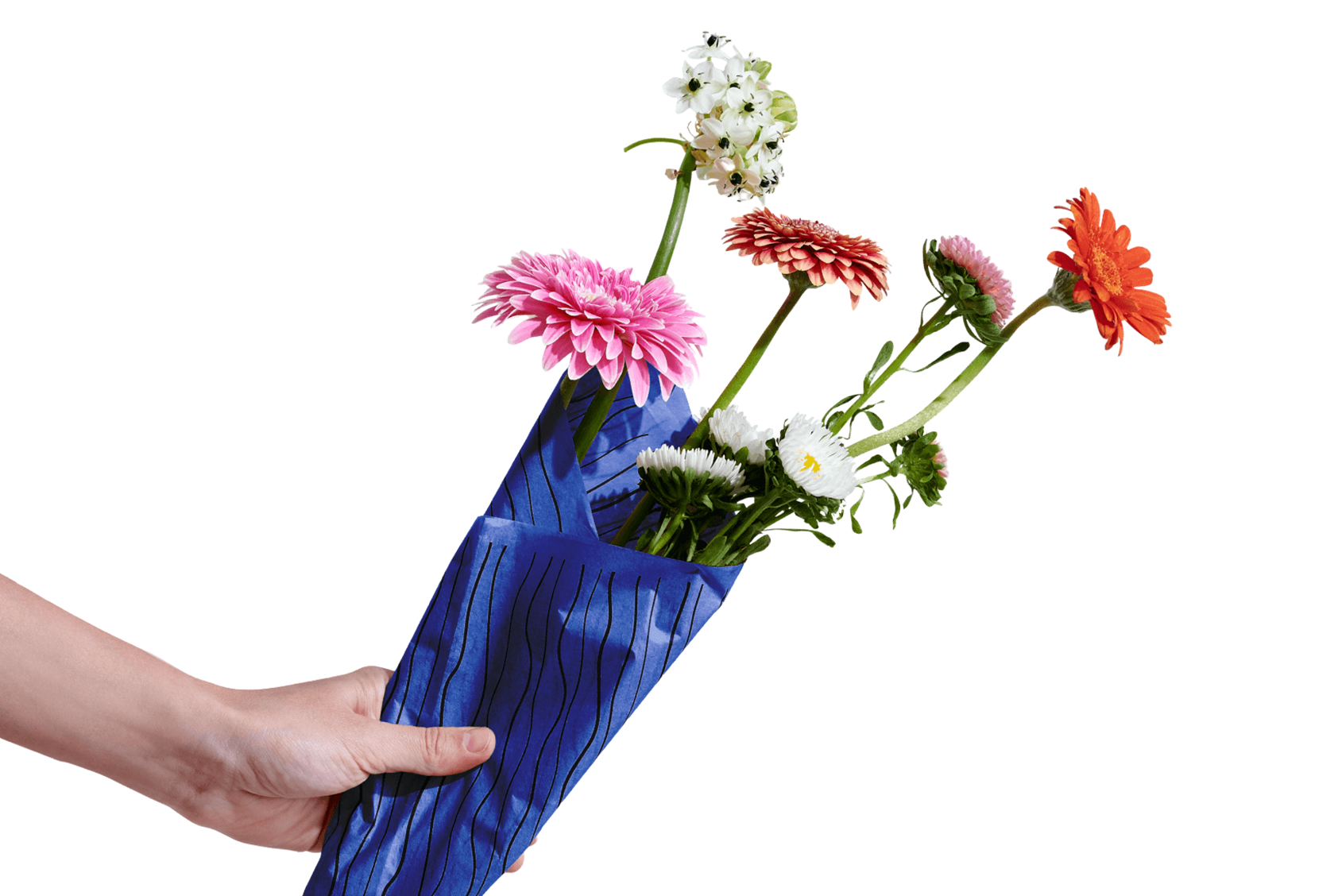 Économisez jusqu’à 20 % avec Packhelp Wallet