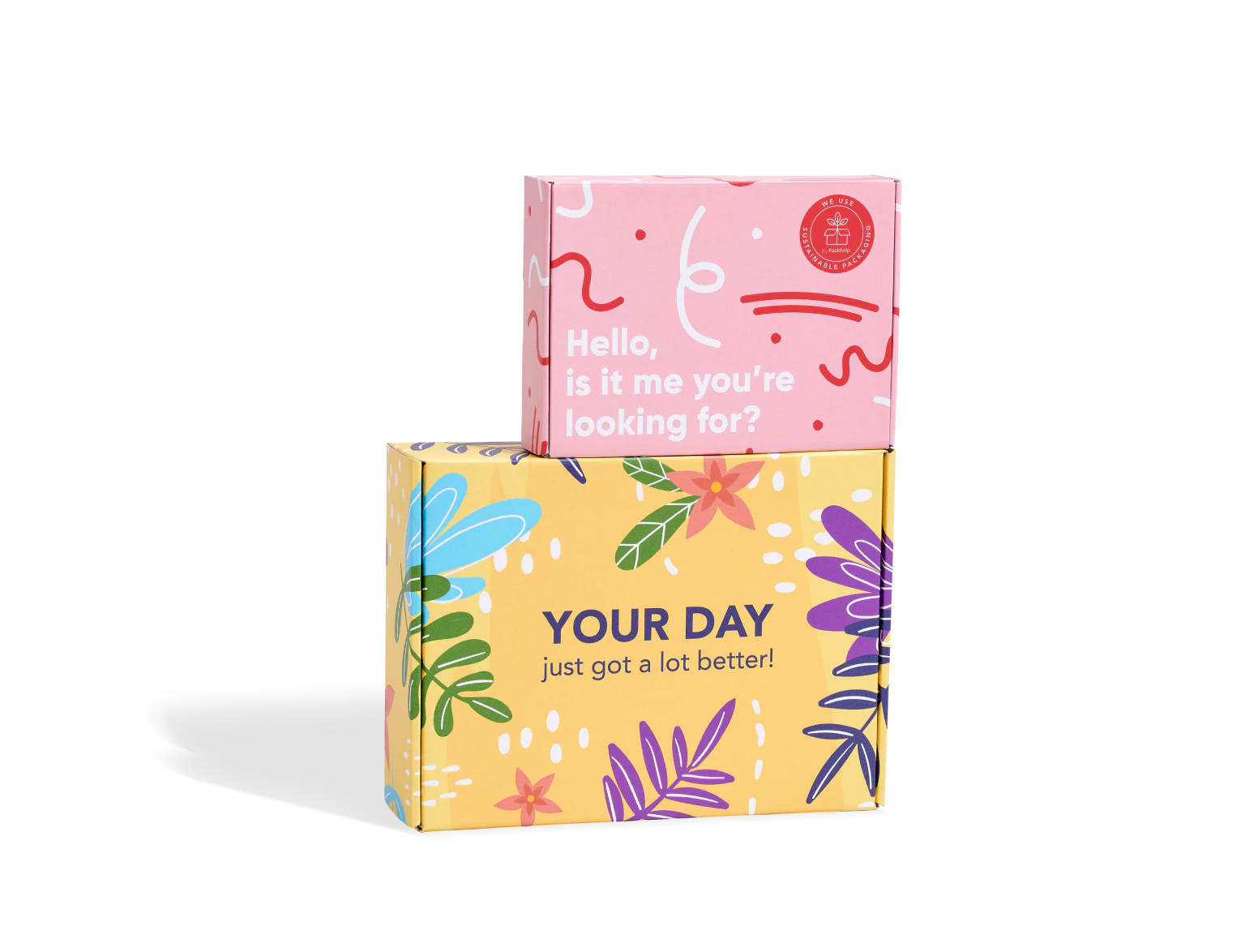 Pre-Printed Full-Colour Mailer Box