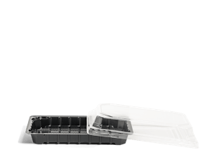 Scatola per sushi con coperchio