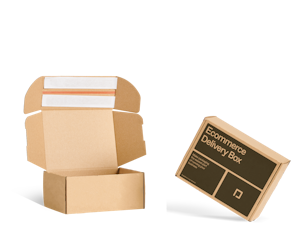 E-commerce Delivery Box