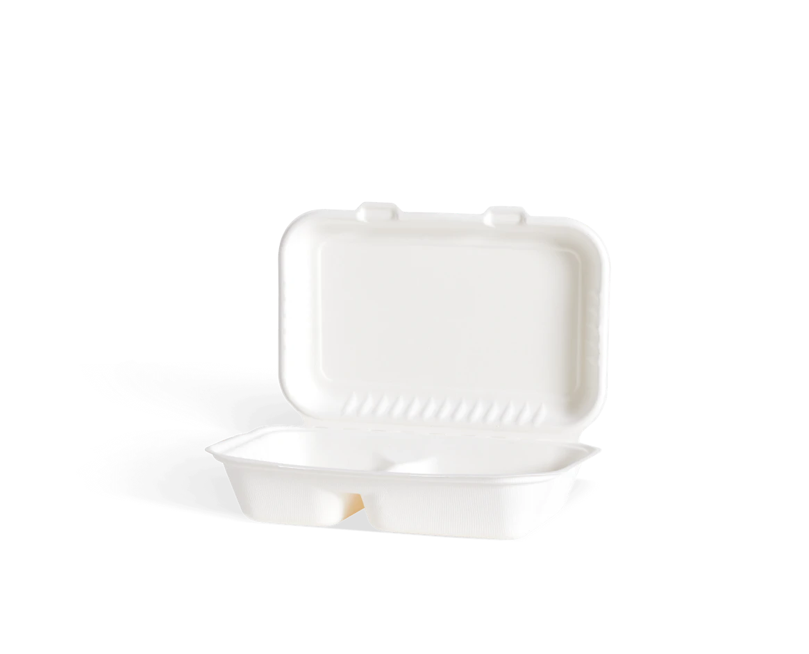 Two section menubox, cane pulp 250x165x66 mm 1