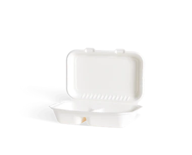 Two section menubox, cane pulp 250x165x66 mm