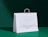 White printed paper bag with twisted handles and a green logo print on a dark green backdrop