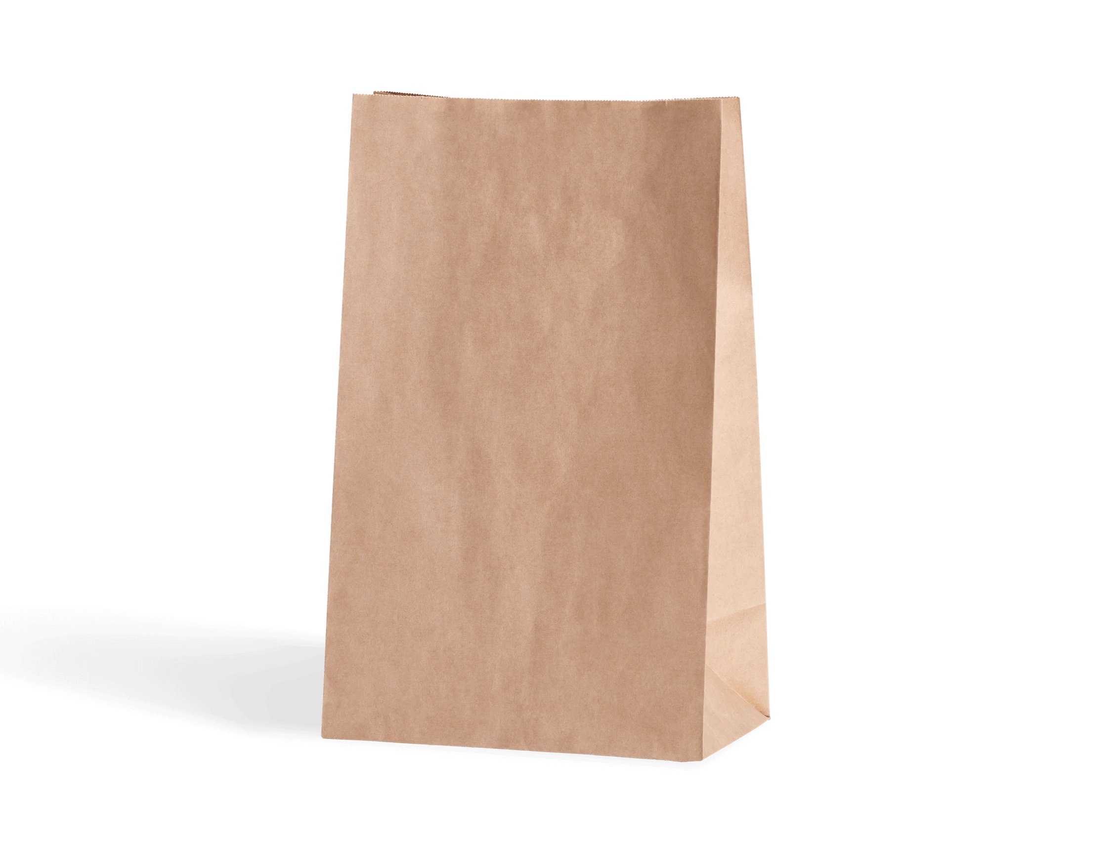 Plain Paper Bag
