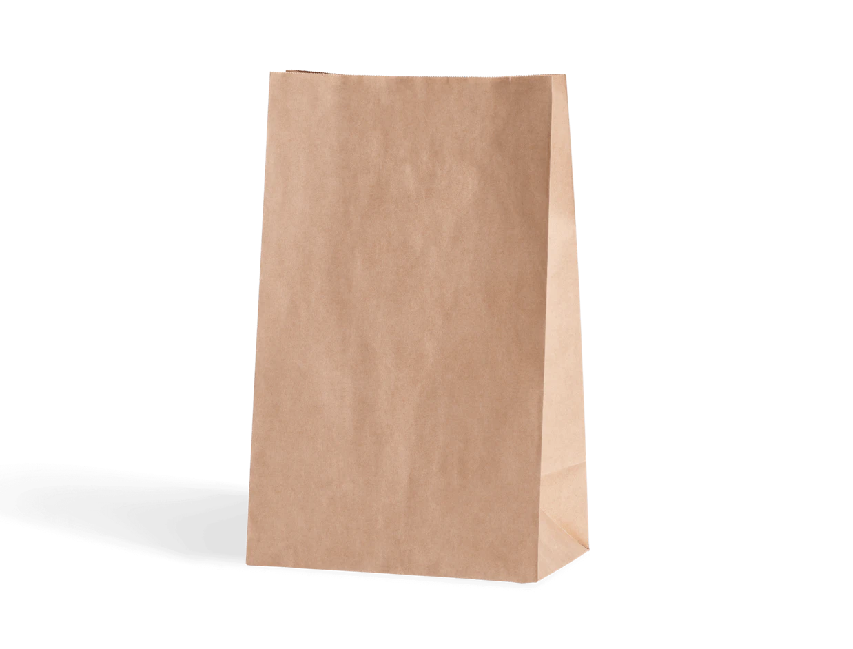 Unbedruckte Papiertasche 1