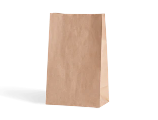 Plain Paper Bag