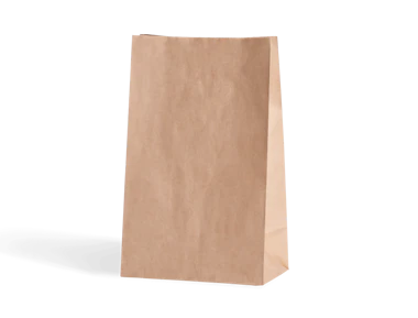 Plain Paper Bag