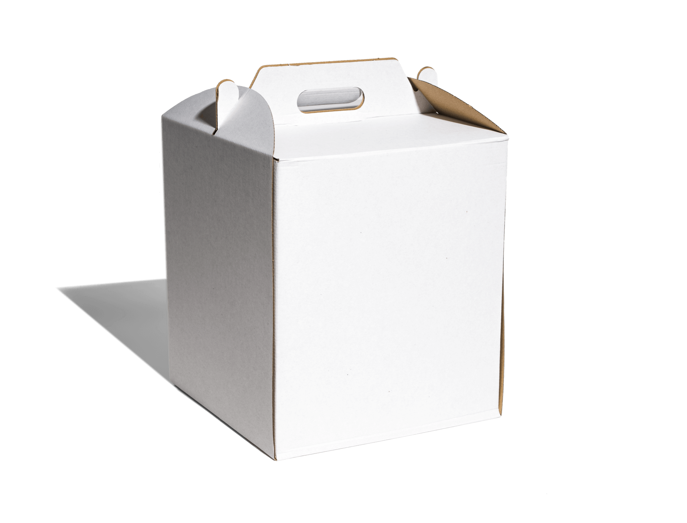 Tall cardboard cake box with handle