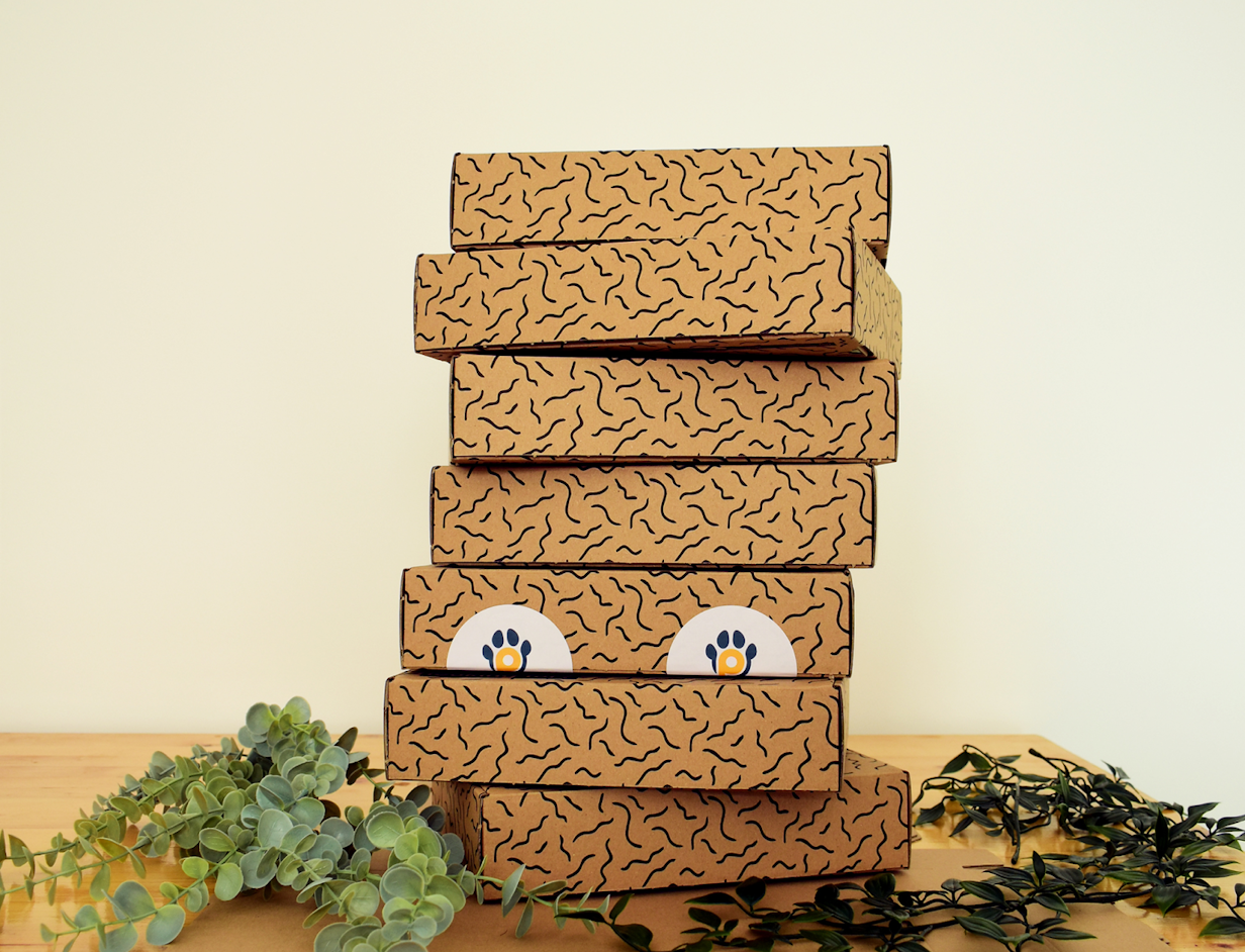 Custom Economic Mailer Box 4
