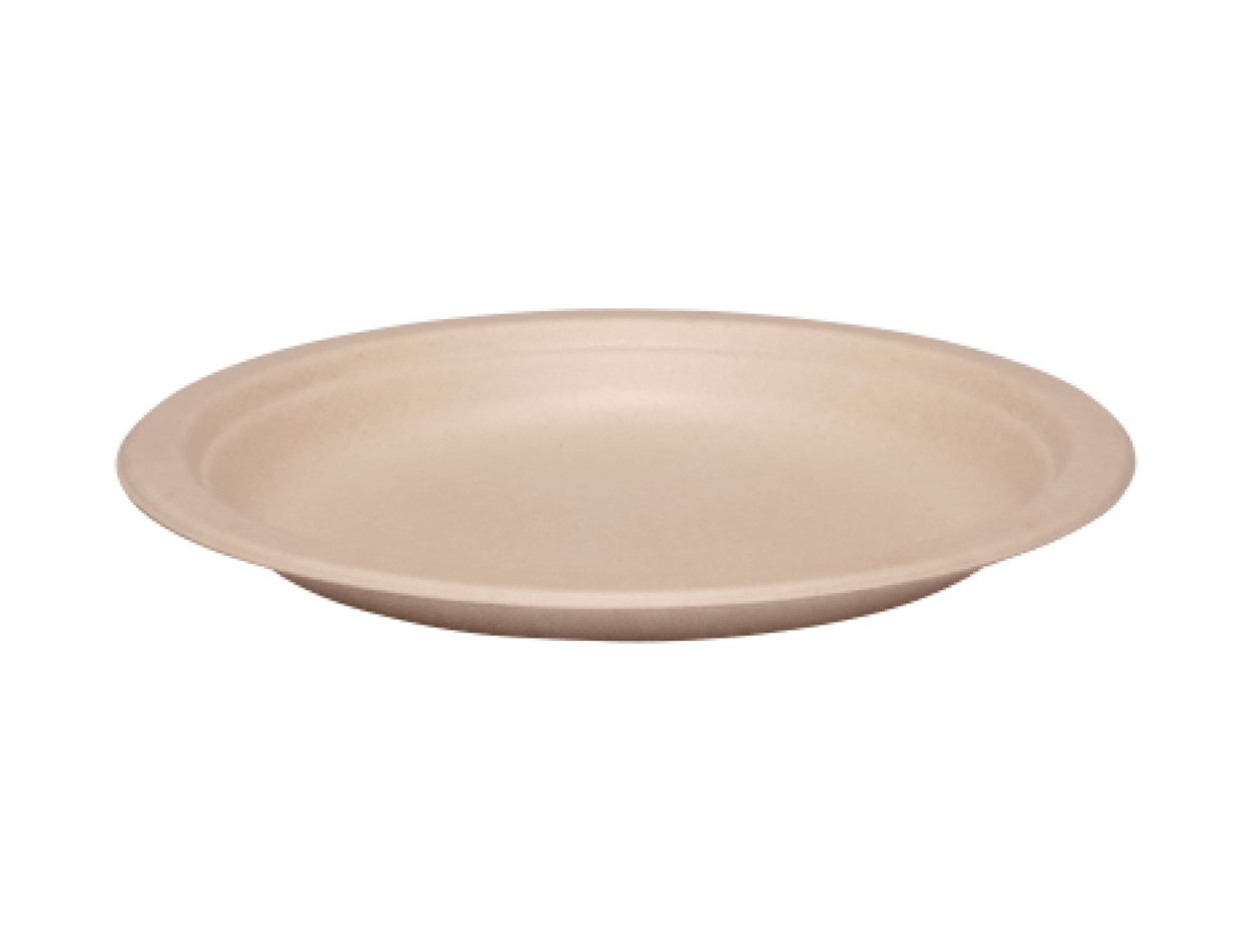Teller aus Zuckerrohr 1