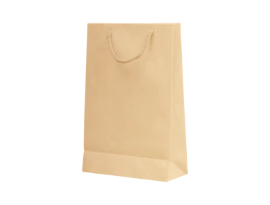 Unbedruckte Geschenktasche aus Papier