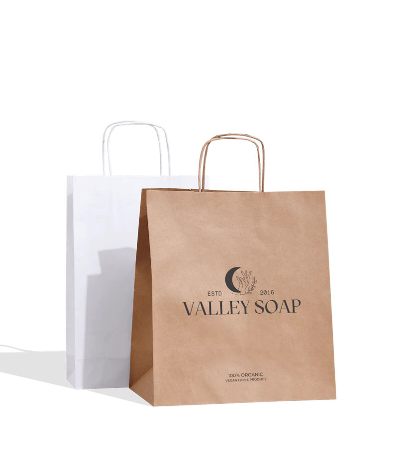 Custom Paper Bag with Handle 1
