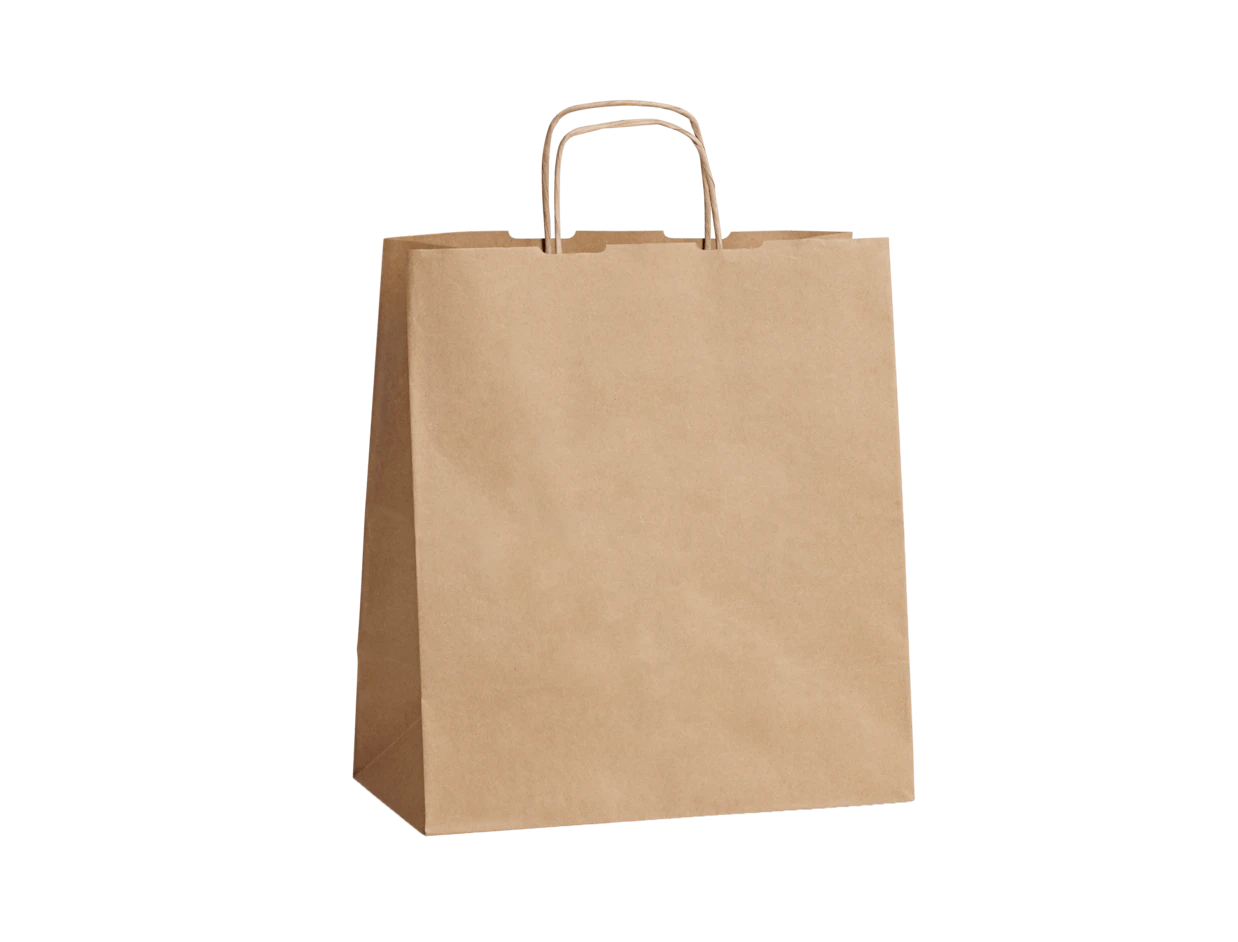 Paper bag with twisted handle, brown 250x150x320 mm 1