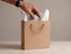Plain Paper Gift Bag