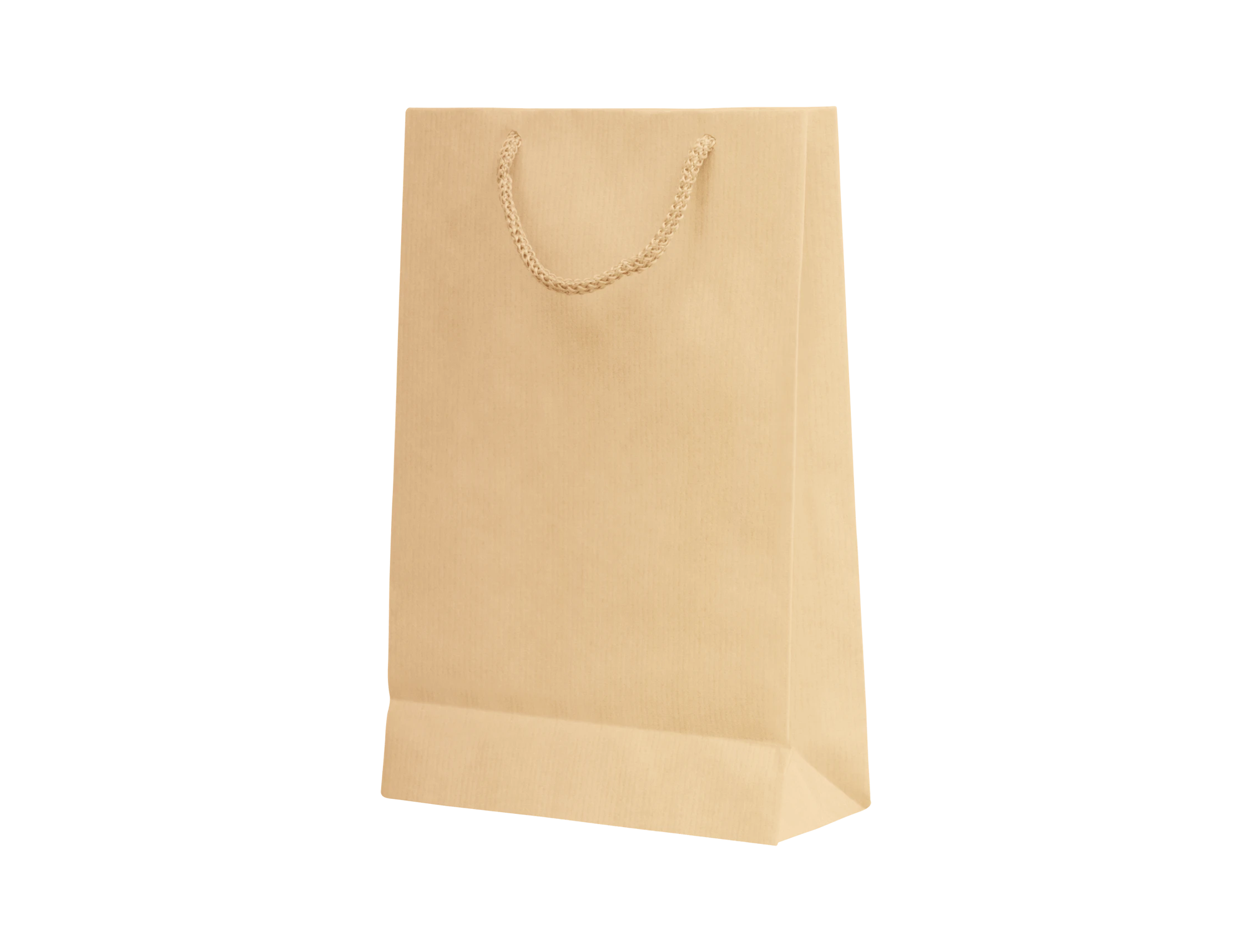 Plain Paper Gift Bag