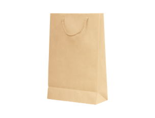 Paper Gift Bag