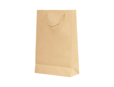 Sac cadeau kraft