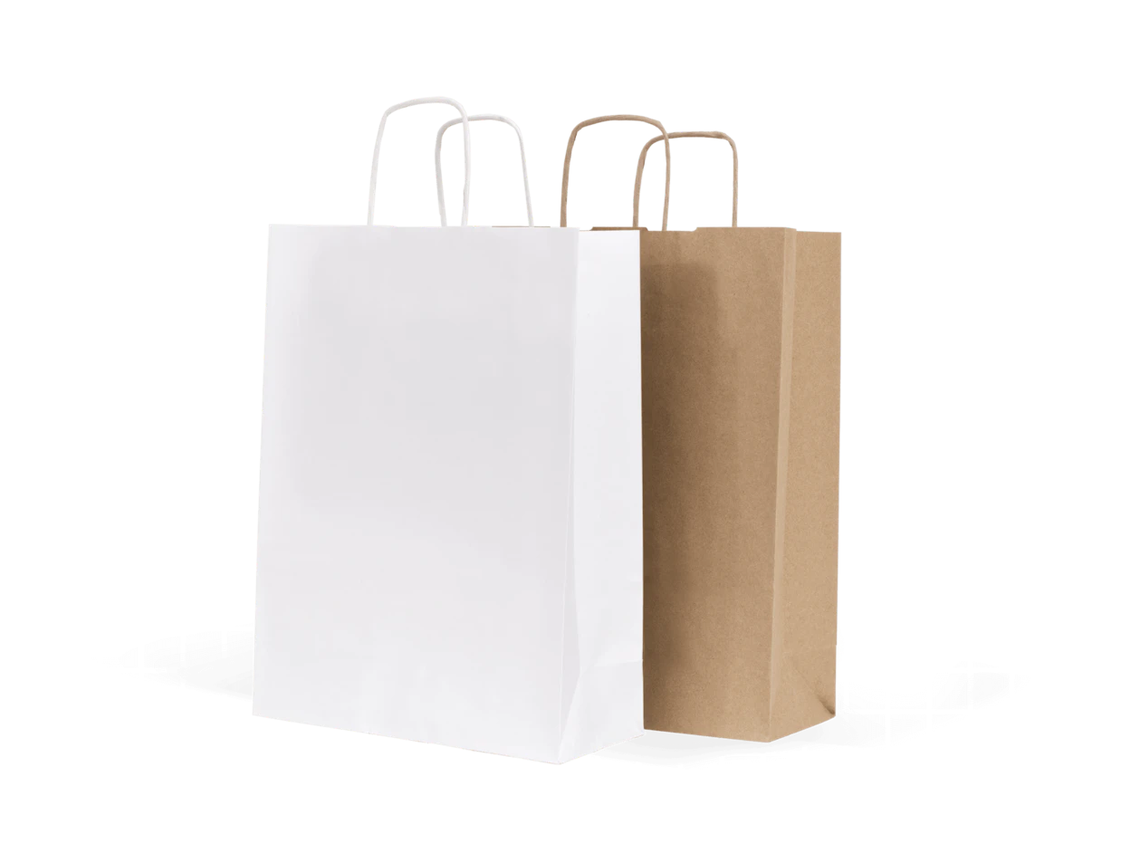 Paper bag with twisted handle, brown 250x150x320 mm 2