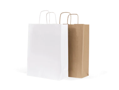 Paper bag with twisted handle, brown 250x150x320 mm