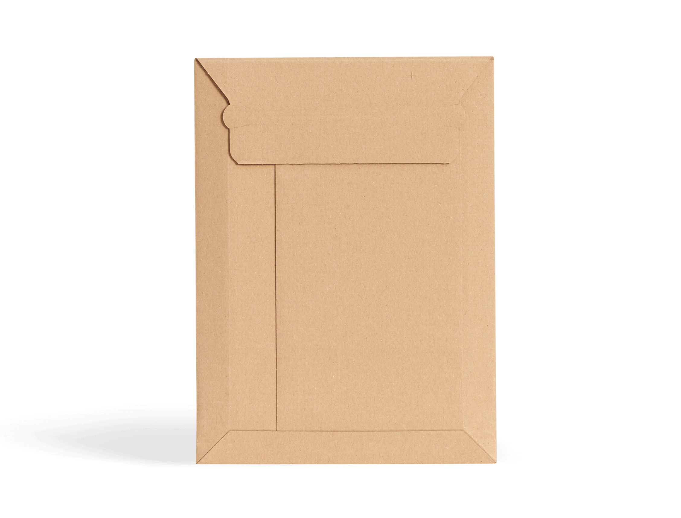 Plain Corrugated Envelope