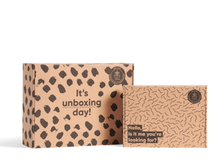 pre printed eco mailer box