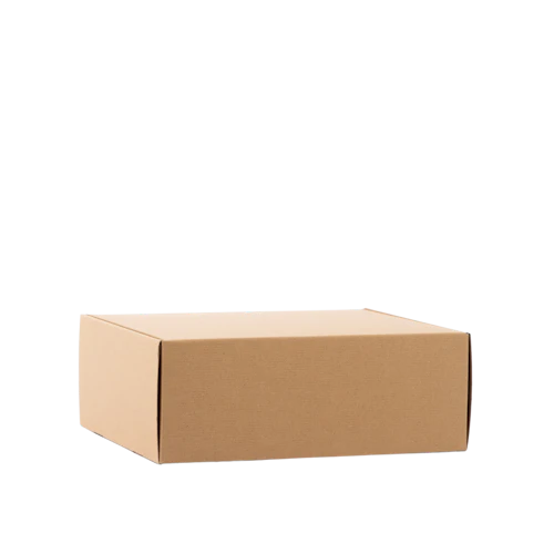 F93 Pudełko fasonowe 44×33.9×15.9cm Bez nadruku