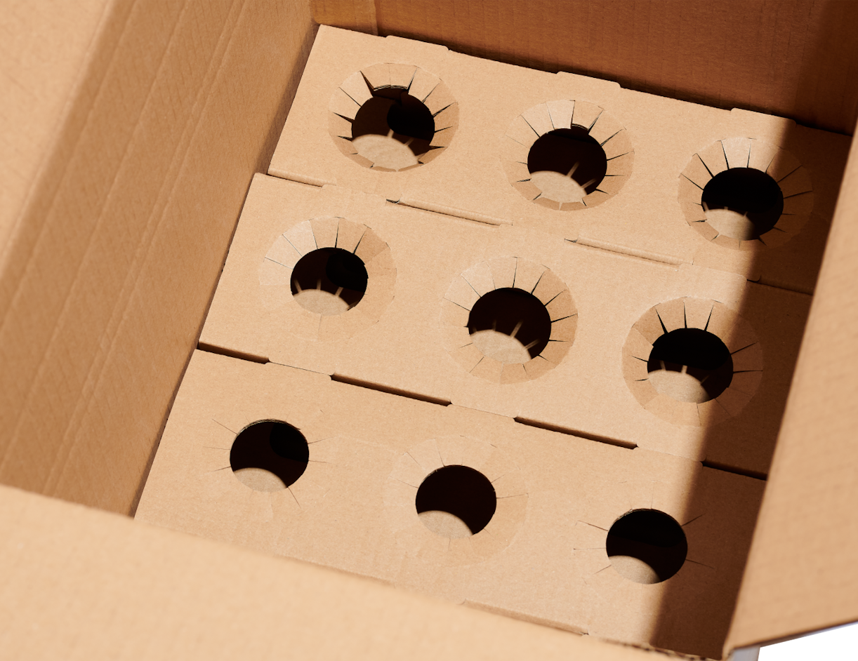 Einfache Flaschenbox mit Einsätzen unbedruckte 6