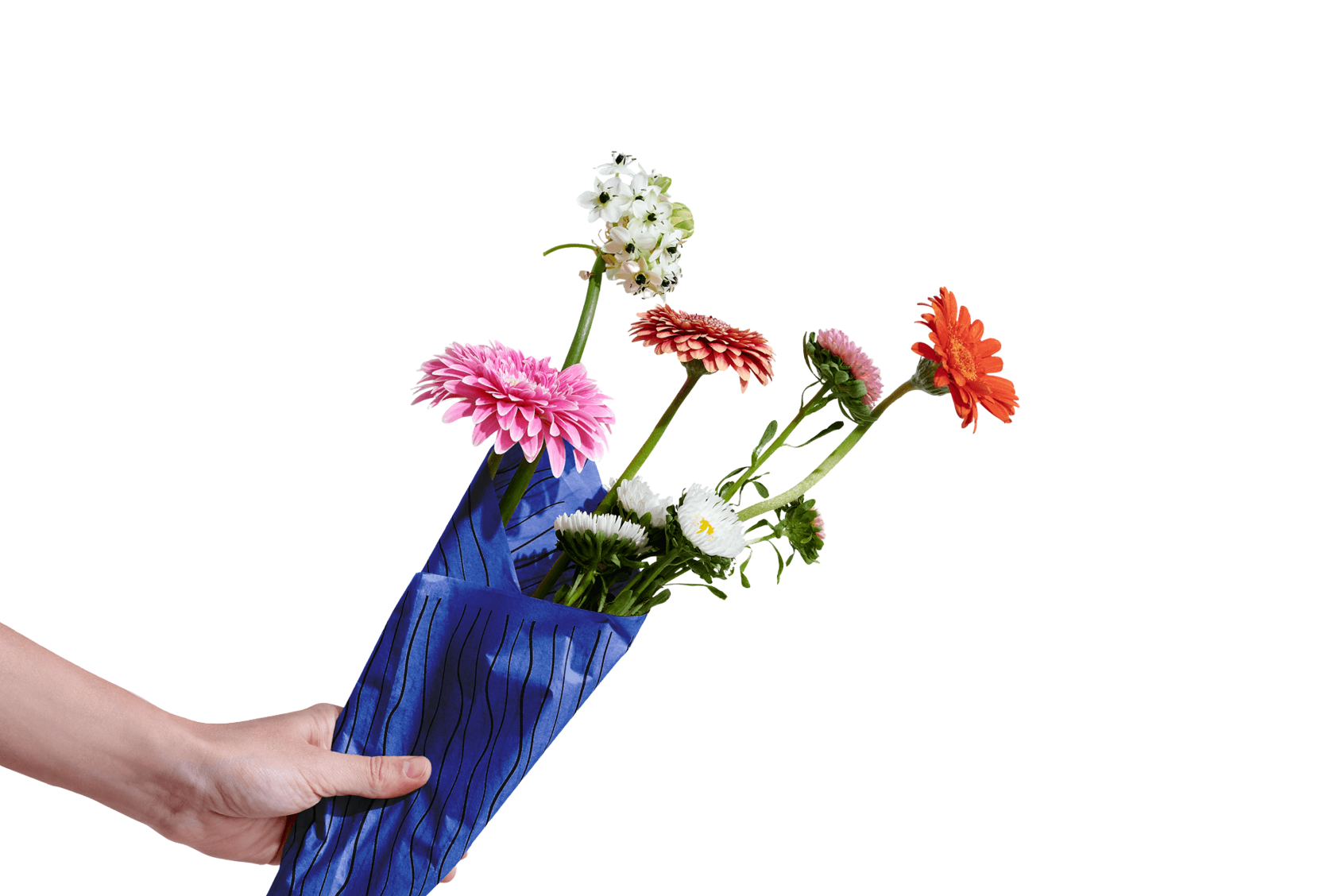 Save up to 20% with Packhelp Wallet