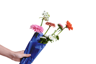 Risparmia fino al 20% con Packhelp Wallet