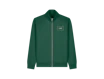 Vert bouteille