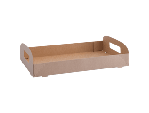 Biodegradable Carry Tray