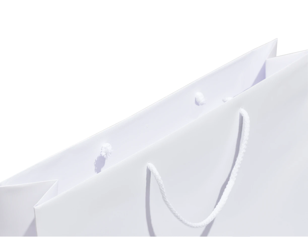 Individuelle Geschenktasche zum Verpacken von Werbeartikeln 2