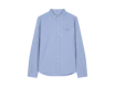 Blue Oxford