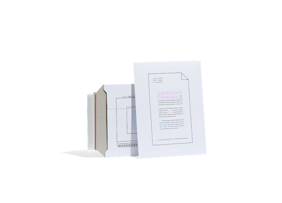 Two white cardboard envelopes with print